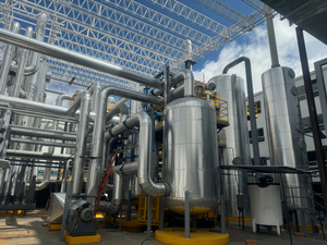 LABSA PLANT 4.jpg